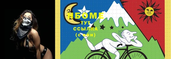 гашик Козельск