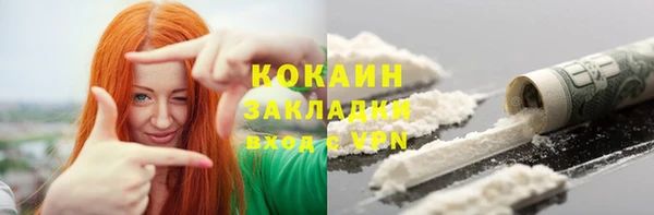 гашик Краснослободск