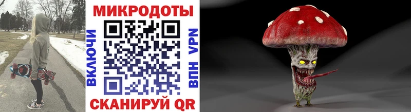 Псилоцибиновые грибы Psilocybine cubensis  Мензелинск 